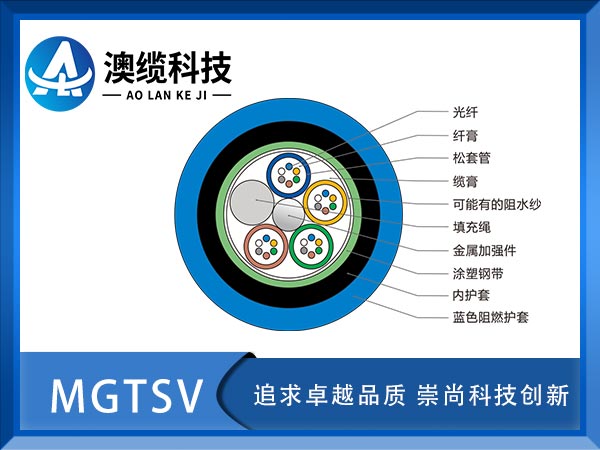 MGTSV£MGTSVù£MGTSV¼۸